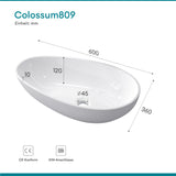glasvilla Waschbecken oval Aufsatzwaschbecken ohne Hahnloch und Überlauf Col809