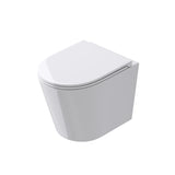 glasvilla Spülrandlos Wand WC Hänge WC Spülrandloses Toilette Softclose WC-Sitz Aachen108