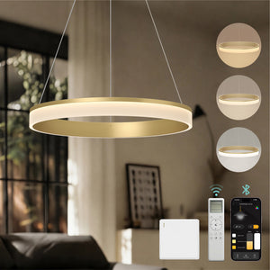 glasvilla suspension luminaire pour salle à manger, lampe suspendue LED, intensité variable en continu 3000K–6000K, lampe de salle à manger réglable en hauteur avec télécommande et interrupteur mural Luvina02